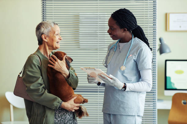 獣医クリニックのハッピークライアント - pets dog office vet ストックフォトと画像