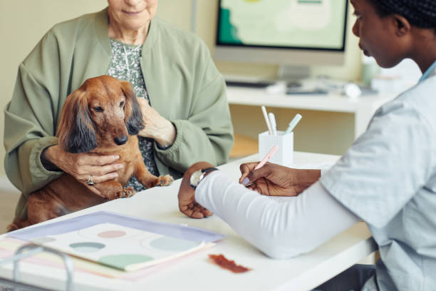 istock Cute Dog Visiting Vet 1409885430