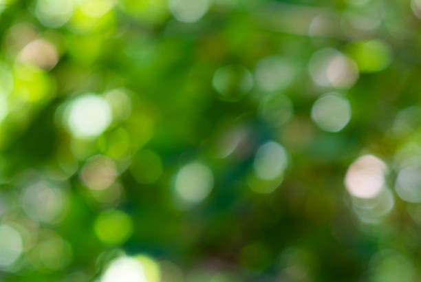 istock Green bokeh on nature defocus abstract blur background 1409885852
