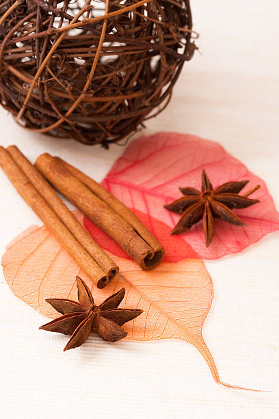 Star anise with cinnamon sticks Cinnamon sticks, anise stars and skeletone leaves on table kayu manis stock pictures, royalty-free photos & images