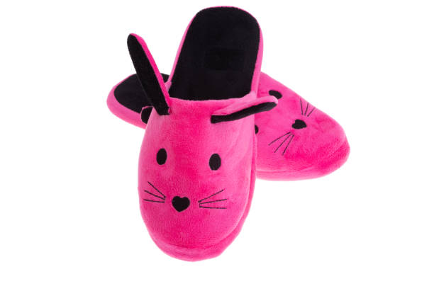 istock indoor women's slippers isolated 1409887476