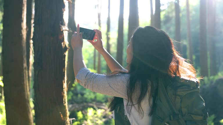 Women photographing in forest with mobile phone