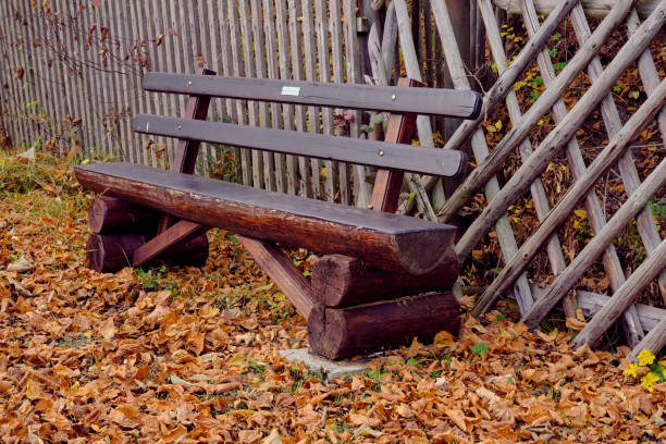 istock Wooden bench in the park 1409888356