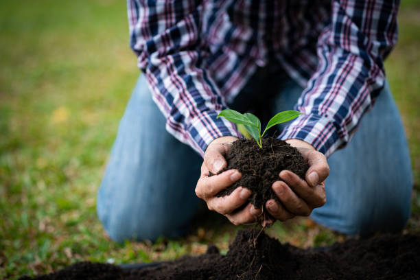 istock A man is planting a tree and so it grows. Increase oxygen in the air, save the world, save lives and plant trees to protect the environmental tree concept. 1409888867