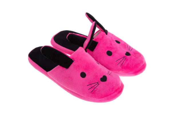istock indoor women's slippers isolated 1409890971