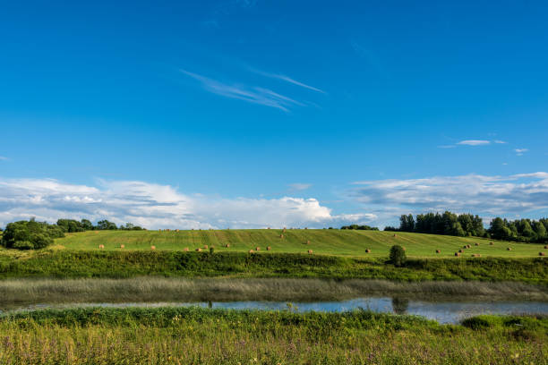istock Haystacks in a field by the river. Rural landscape. 1409891664