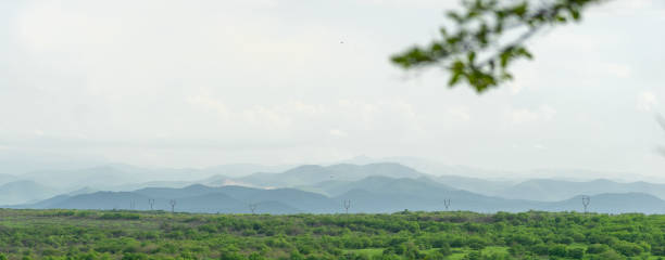 Green nature of Georgia travel ecotourism for health stock photo