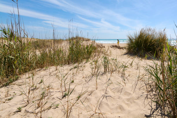 istock Girl walking alone on the beach 1409896238