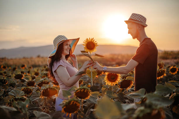 Two people enjoying sunset together in sunflower field