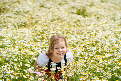 Little preschool girl in daisy flower field. Cute happy child in red riding hood dress play outdoor on blossom flowering meadow with daisies. Leisure activity in nature with children