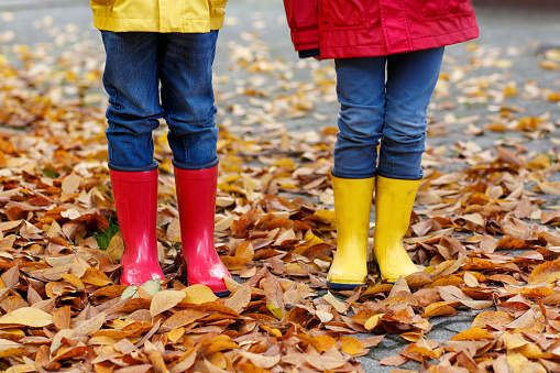 Two little children playing in red and yellow rubber boots in autumn park in colorful rain coats and clothes. Closeup of kids legs in shoes dancing and walking through fall autumnal leaves and foliage.