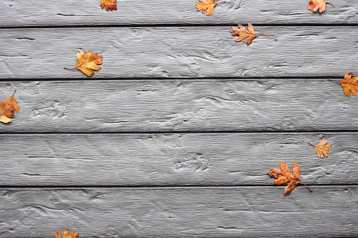 Fallen orange leaves on wooden planks/decking/table.