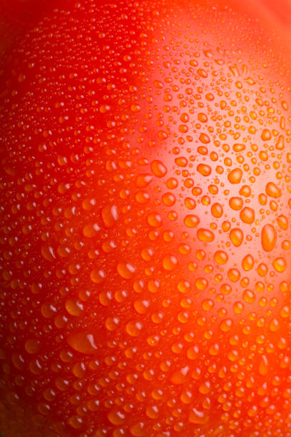 istock abstract of tomato surface with dew, macro 1409899322