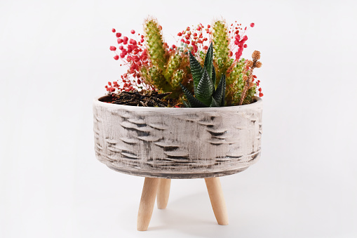 Many flower pots with different plants isolated on white, collection