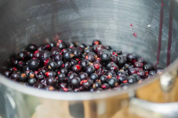 Close up of blackcurrants in metal pan, at the start of the process of being turned into jam.
