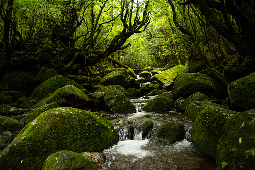 Aerial photography of deep pools and waterfalls in mountain streams