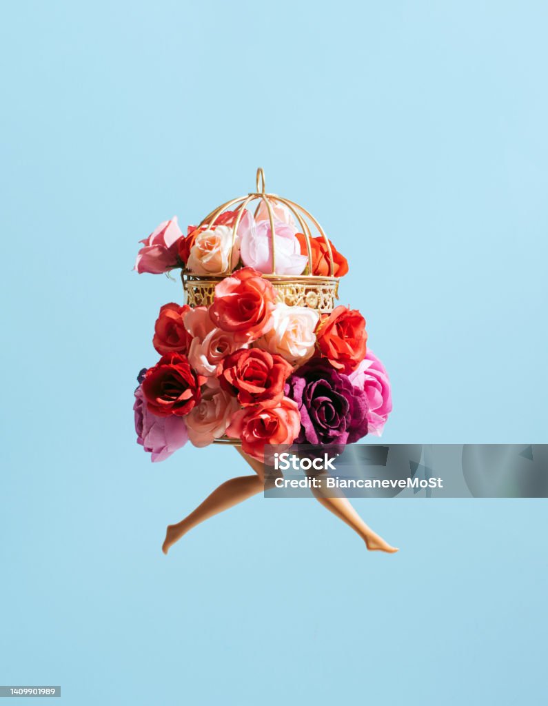 Gilded floral cage Birdcage filled with colirful roses, doll's legs, creative floral arrangement. Pastel blue background. Wedding Stock Photo Gilded floral cage Birdcage filled with colirful roses, doll's legs, creative floral arrangement. Pastel blue background. Wedding Stock Photo