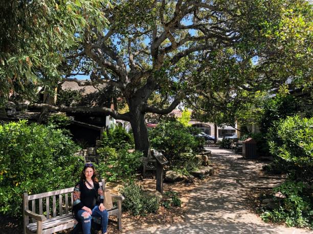 młoda kobieta z pięknym wietrznym drzewem za sobą, podczas zwiedzania nadmorskiego miasteczka carmel by the sea, kalifornia, stany zjednoczone - twisted tree california usa zdjęcia i obrazy z banku zdjęć