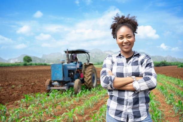 mujer africana agricultora examinando la planta de maíz en el campo. actividad agrícola en tierras cultivadas. mujer agrónoma inspeccionando plántulas de maíz. experto inspecciona la calidad de la planta en campo verde rural. - tractor green farm corn fotografías e imágenes de stock