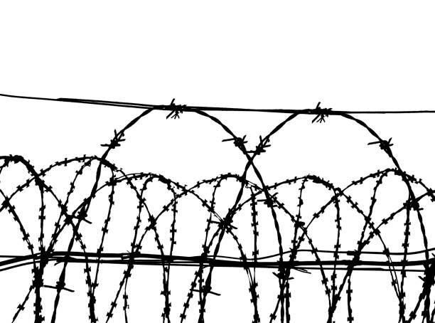 istock ontour of barbed wire on a white background 1409905292