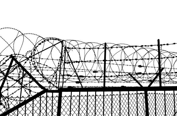 ontour of barbed wire on a white background - razor wire imagens e fotografias de stock
