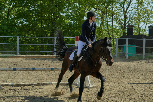 A young dressage rider woman riding on her horse during a dressage competition. Canon Eos 1D MarkIII. Please take a look at my other horse photos in my gallery!My other dressage photos: