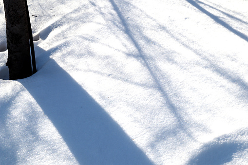 On a sunny winter day, natural shadows from trees form on the snow surface, an abstract pattern.