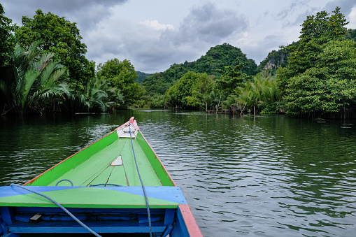 POV shots from inside a boat with a mangrove forest scenic view, while cruising in Rammang Rammang Makassar
