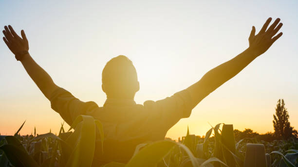 Caucasian man standing in the agricultural field enjoying the sunset. stock photo