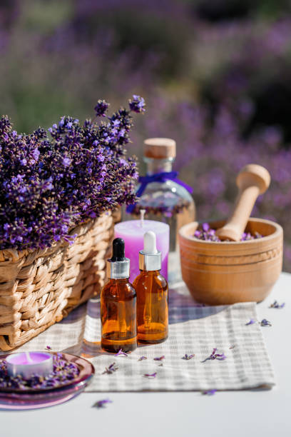 botella gotera con aceite cosmético de lavanda o hidrolato contra el campo de flores de lavanda como fondo con espacio de copia. cosmética herbal y concepto moderno de boticario - perfume bottle scented cosmetics fotografías e imágenes de stock