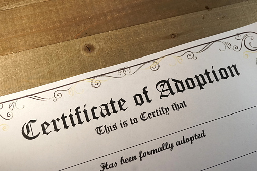 shot of certificate of adoption theme