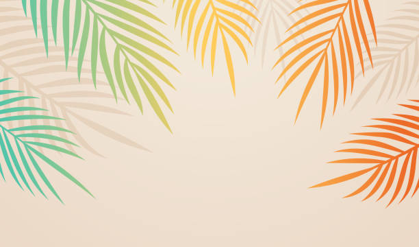 illustrazioni stock, clip art, cartoni animati e icone di tendenza di palme estate caldo sfondo banner - palm leaf frond leaf backgrounds
