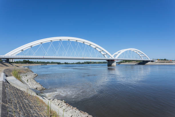 istock Enivonmental damage, water pollution 1409914642