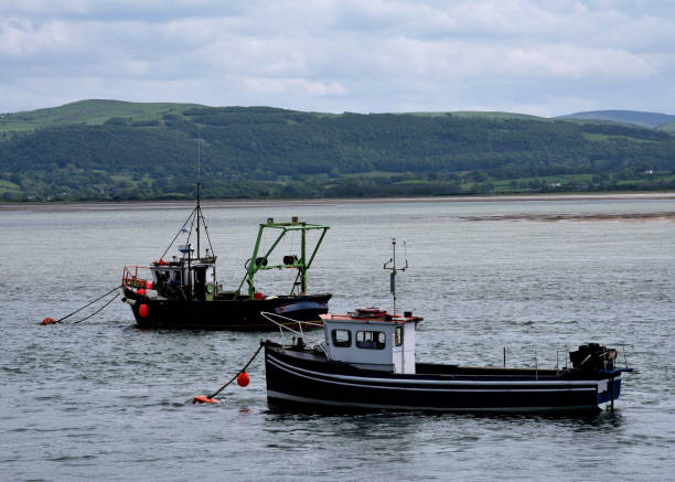 Three moored fishing boats in the channel off Holy Island, UK. In the background is one of the two Old Law Beacons, now a lighthouse, that when lined up guide ships into the harbour.