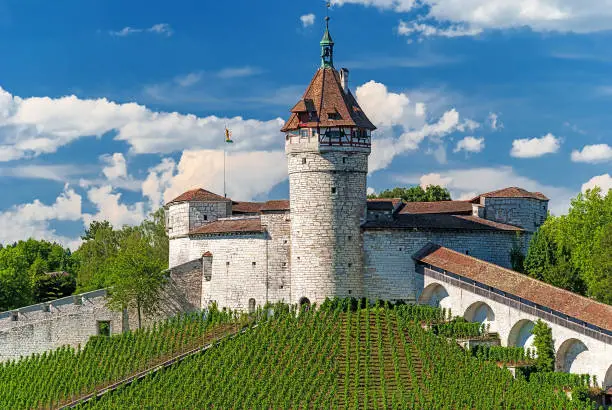 The Munot medieval circular fortification in the center of Schaffhausen on the High Rhine in Switzerland with vineyards