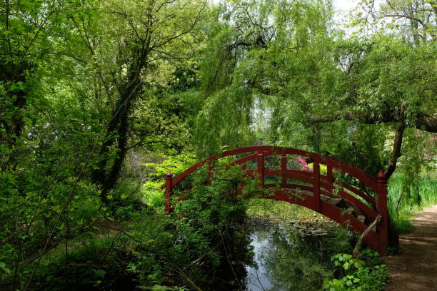 istock Japanese style red bridge in sunlit park 1409916537