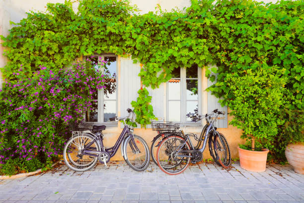 bicycles leaning on wall covered with berries of grapes and leaves