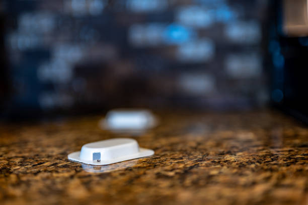 istock Ant trap poison bate on a granite kitchen countertop 1409922055
