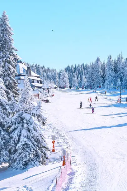 Photo of Panorama of ski resort Kopaonik, Serbia