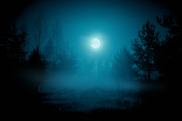 Gruseliger nächtlicher nebliger Wald unter dem Nachthimmel mit Vollmond in kalten Blautönen. Halloween-Kulisse. – Foto