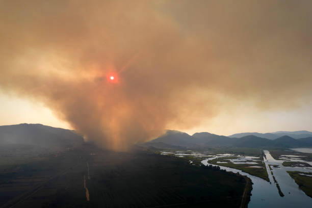 istock Large column of smoke from a forest fire 1409926337