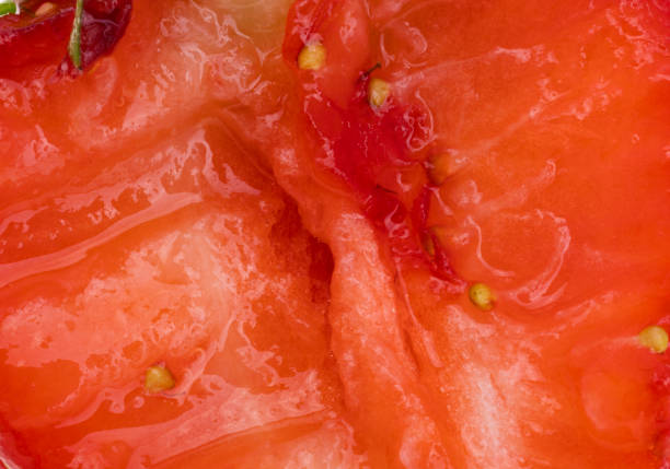 background of strawberries close-up macro