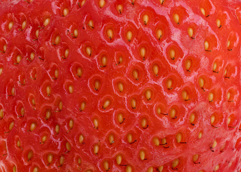 red background of strawberries close-up macro