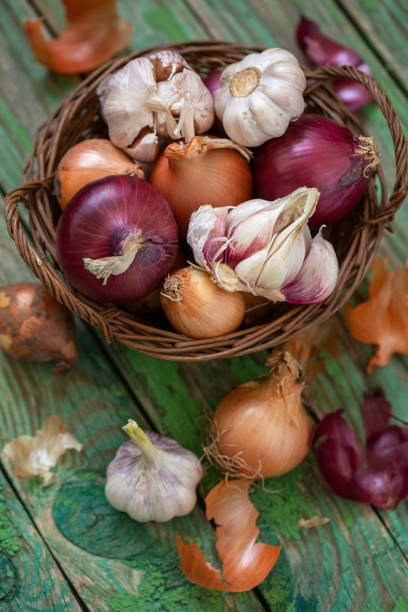 istock Onions and garlic in a wicker basket on an old background. Rustic, vintage style 1409937237