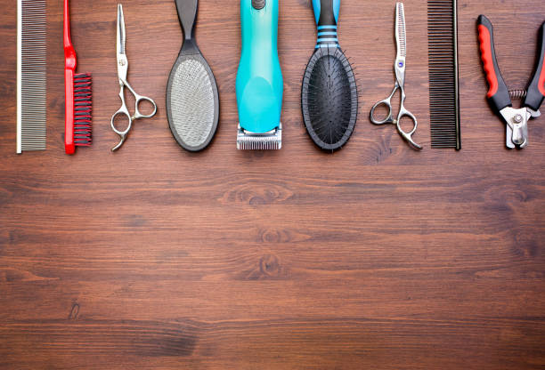 istock Set of pets grooming tools. 1409937901