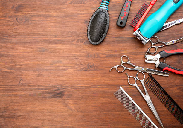 istock Set of pet grooming tools on the wooden table. 1409937930