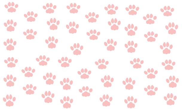 ilustraciones, imágenes clip art, dibujos animados e iconos de stock de huellas de gato rosa - almohadillas pata de animal