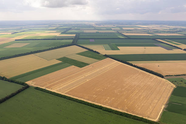 istock Aerial view of fields with various types of agriculture. 1409940635
