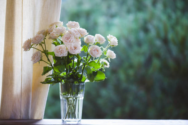 istock roses in glass vase 1409944007