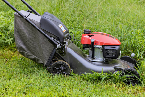 istock This is a garden care work tool in a working lawn mower on a green lawn with grass being cut 1409944701